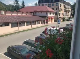 Apartament Geo