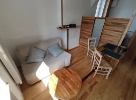 Studio sympa et très calme entre canal et Loire