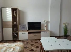 Apartman i sobe Milica Vrnjacka Banja
