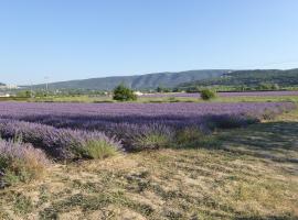 CABANE perchée dans les arbres et terrasse ensoleillée: Robion en Luberon şehrinde bir otel