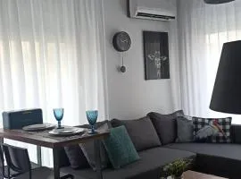 DOWN TOWN Luxurious Apartments (2)