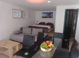 Studio apartment Under the pine
