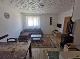 Apartmani Momčilo