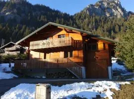 Spacious comfortable chalet close to the ski lifts for 8 persons
