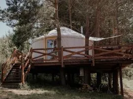 Jurty z widokiem, prywatna balia- DZIKOLAS GLAMPING