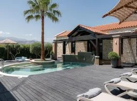 Villa Peacock with Spa Facilities