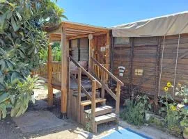 Galilee Bedouin Camplodge