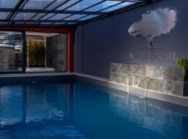 Villa Seyal - avec piscine - jacuzzi - sauna & climatisation, hotell i Le Mans