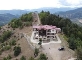 Şavşat Köşk Otel