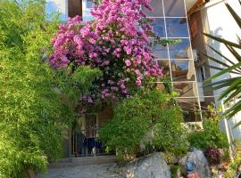 Bugenvilija, hotel v destinaci Budva