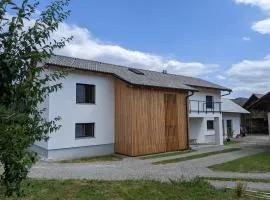 Klančarjeva domačija - Spacious countryside apartment on an eco farm