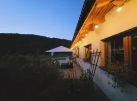 Daglezja