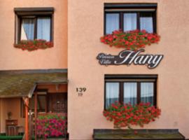 Pension Villa Hany, hotel con parking en Mariánské Lázně