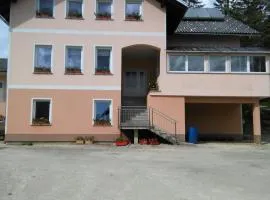 KMETIJA KNAVS