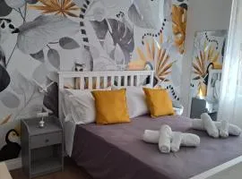 B&B Magia
