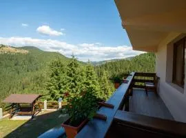 Cabana Denisa
