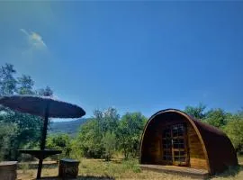 Mas Olivella POD