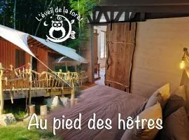 Gîte nature Au pied des hêtres