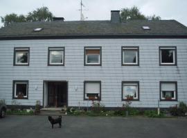 Pension Ackermann, guest house in Mayen