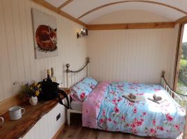 Top of the Rock Glamping, parque de campismo em Trefeglwys