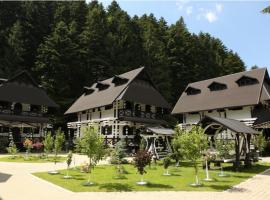 Complex Lions Bucovina, hotel v destinaci Voroneț