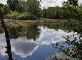 Schwalbennest