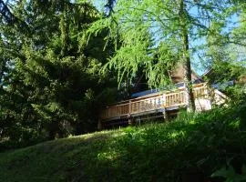 Chalet La Foux d Allos centre Station