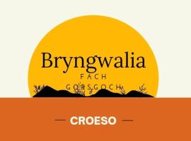 Bryngwalia Fach: Cribyn şehrinde bir otoparklı otel
