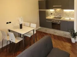 Central Apartment