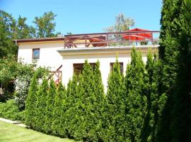 Vacation home near Budapest, ideal for Hungaroring, hotel in Leányfalu