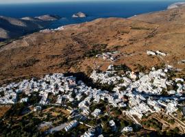 Amedi Villas Tinos
