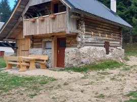 Hut Vaznik