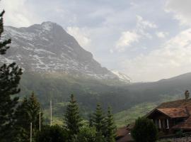 Elements Lodge, hótel í Grindelwald