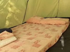 camping a selinunte (Relax fra gli ulivi)