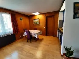 Chalet apartment by Interlaken. Parking