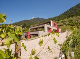 Nebbiolo Wine B&B: Castione Andevenno'da bir ucuz otel