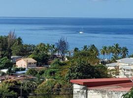 Evasion Nord Caraïbe vue mer -plage 5 mn à pieds, alojamiento en la playa en Le Carbet