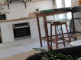 Appartement coquet coeur de ville