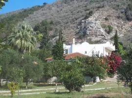Villa Dunes 350m from the sandy beach