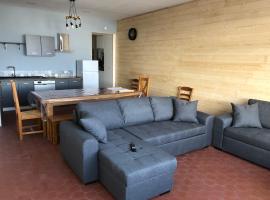 appartement 12 couchages proche piste ski et de randonnées du lioran, hôtel à Le Lioran près de : Refuge