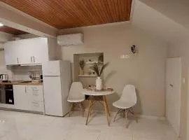 Elise Corfu City Apartment