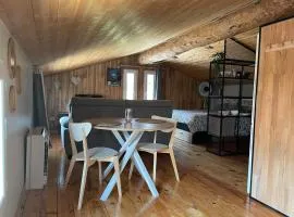 Sublime studio de caractère ,50 m2 climatisé .