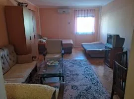 Apartman Djenovici