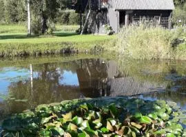 Pirtsnamiņš