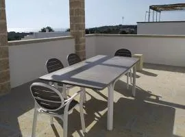 Mavi e Sari Ev