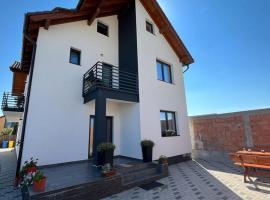 Casa Lucia, guest house in Sibiu