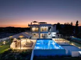 Viviane Paulos Villa