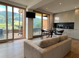 Magnifique appartement classé 4 étoiles avec Sauna et terrasse dans chalet, cabin in La Bresse