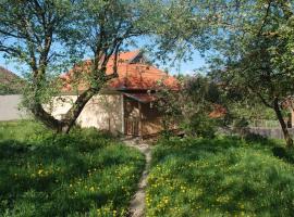 Birdsong Cottage - peaceful country retreat, cheap hotel in Păuleni-Ciuc