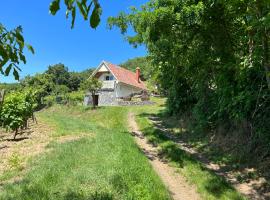 Vine Cottage, hotell i Káptalantóti